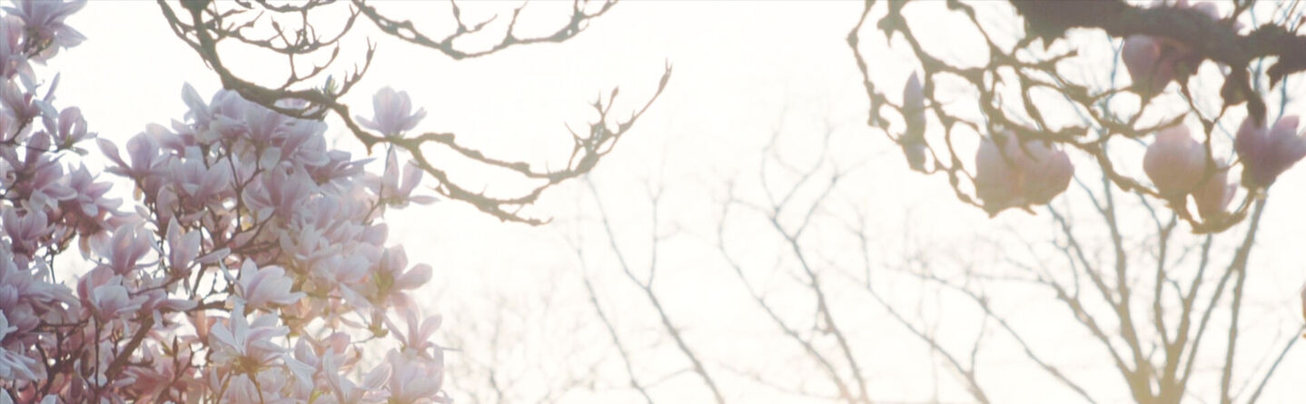 ส่วนบนสุดของเว็บไซต์